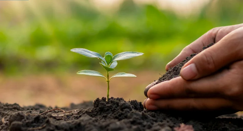 CropIntellix 5M Approach to Carbon Programs