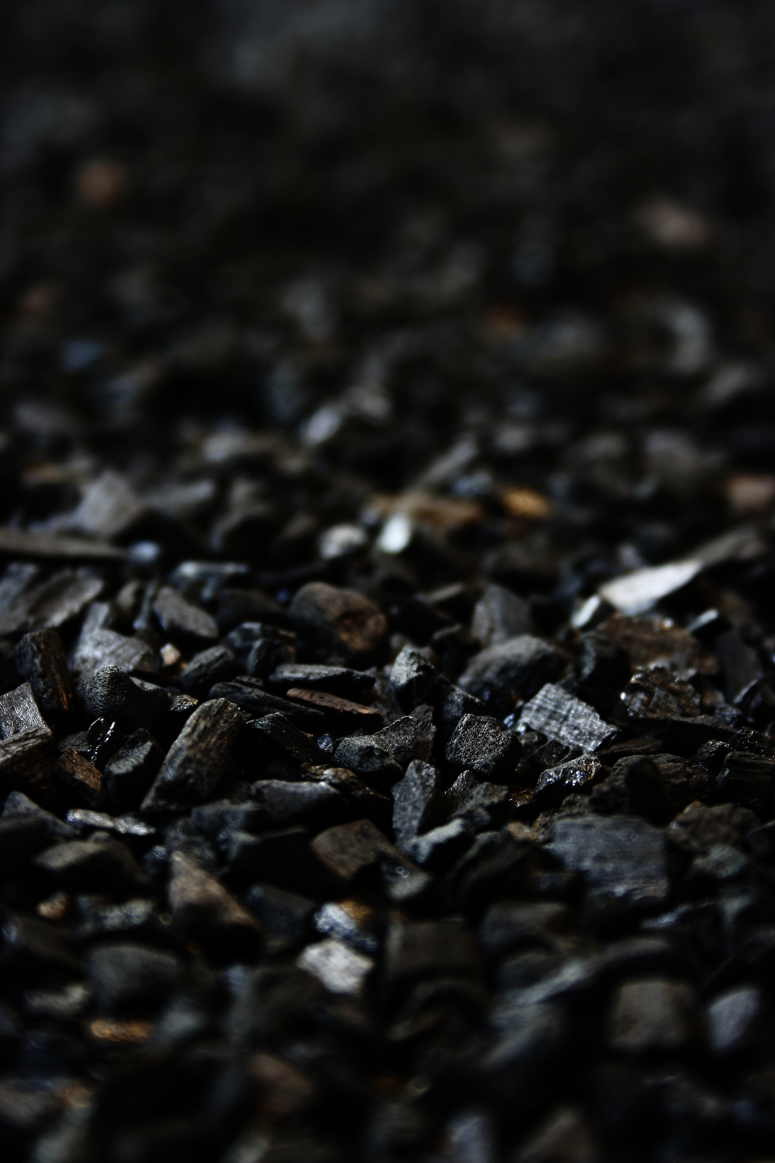 Biochar
